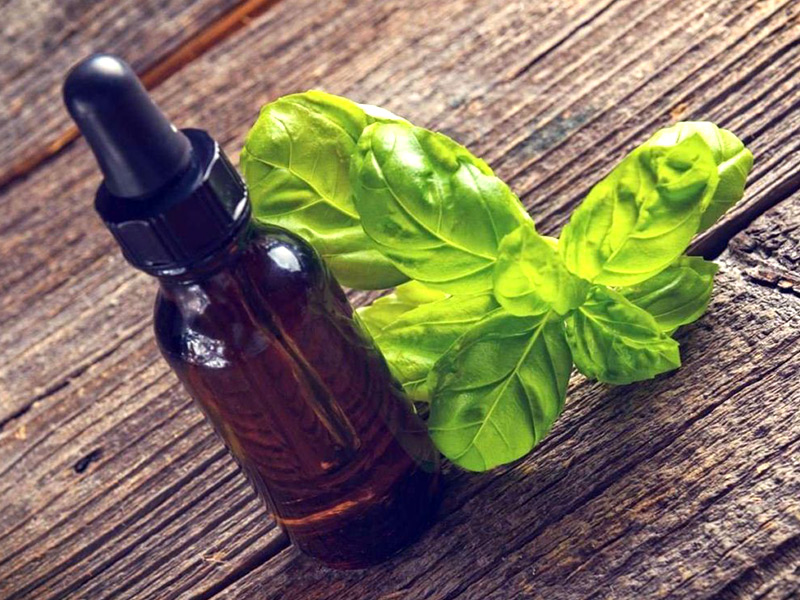 Basil Essential Oil