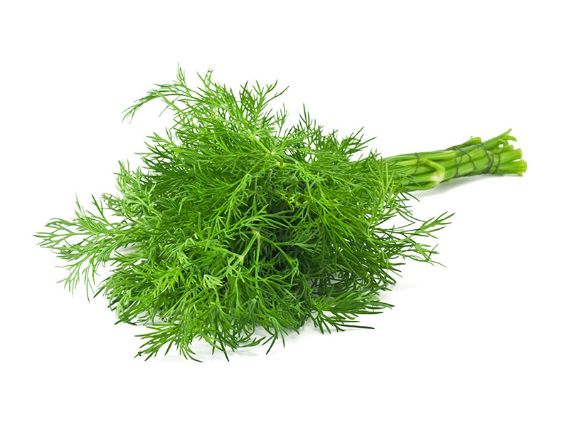 Dill