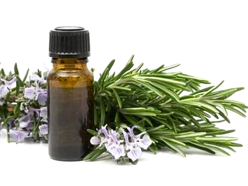 Pennyroyal Essential oil